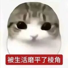分享生活碎片时间到 