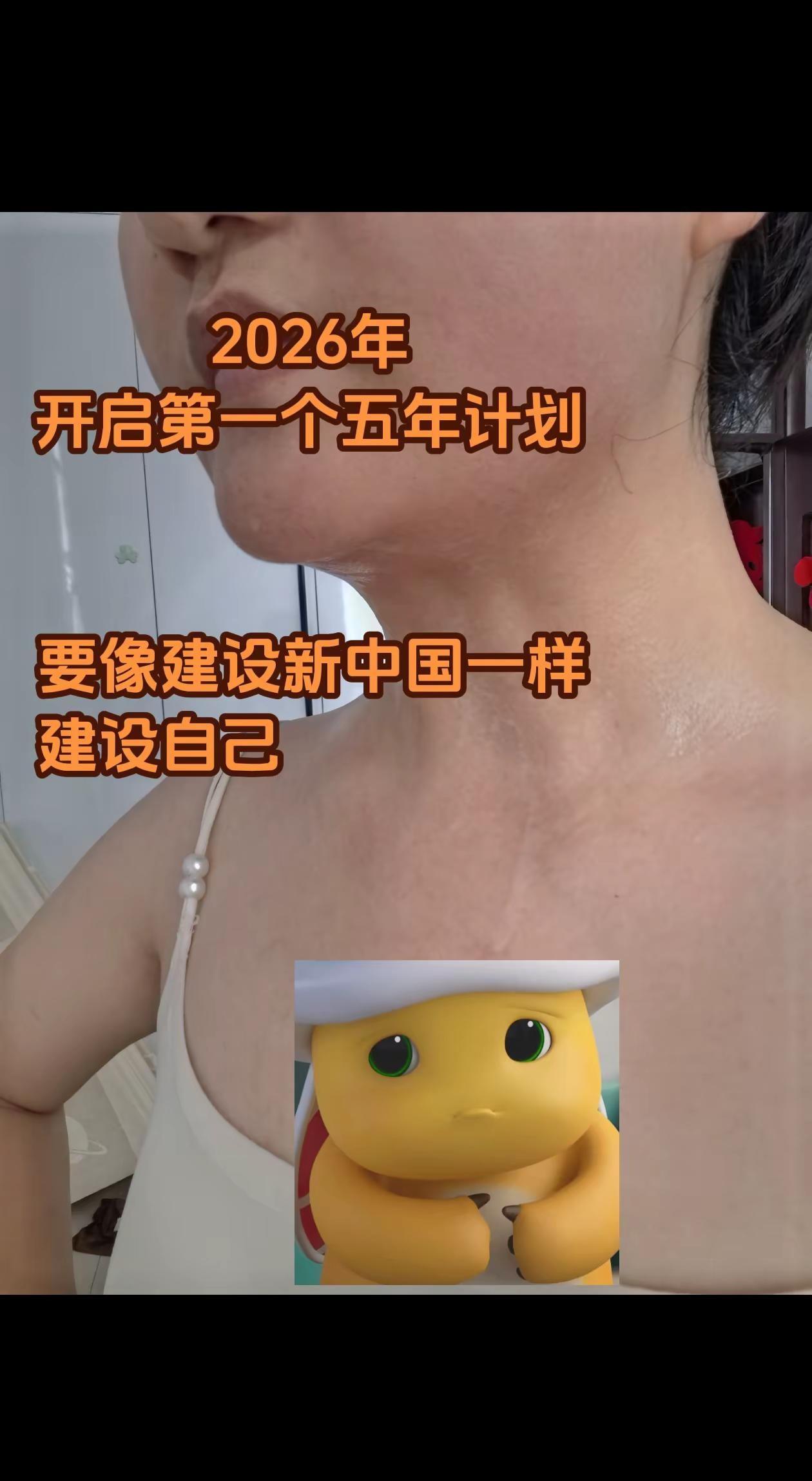 建设新的自己 1，建立规律作息，这是民生工程。2，精通一门技能，这是产业升级。3