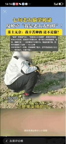 “你的底线呢”？北京七旬老太采摘园里偷菜，5元钱一袋还不付款，还大言不惭，我70