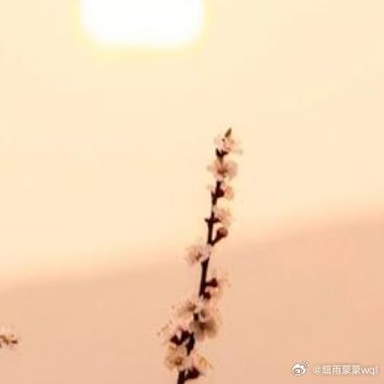 读书，使人思想插上翅膀，感情绽开花蕾；读书，使人思维活跃，聪颖智慧；读书，使人情