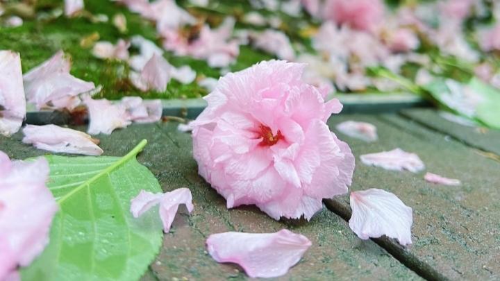 越来越不似我了
对许多事越来越没有兴趣
包括看书追剧   包括听歌写头条....
