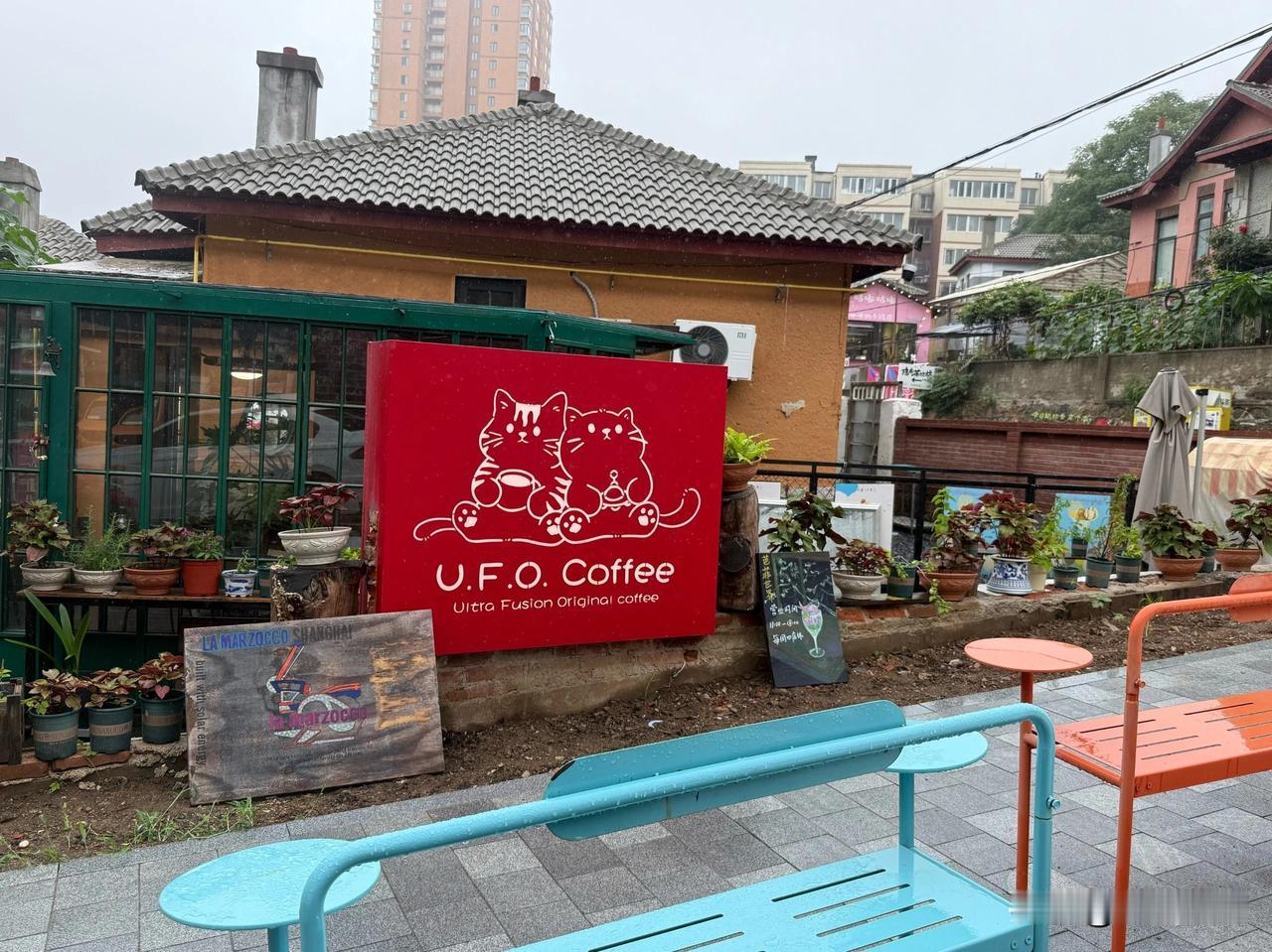 大连保卫巷“整容”归来：车滚蛋了，花和椅子留下啦！

兄弟姐妹们，大连保卫巷、文