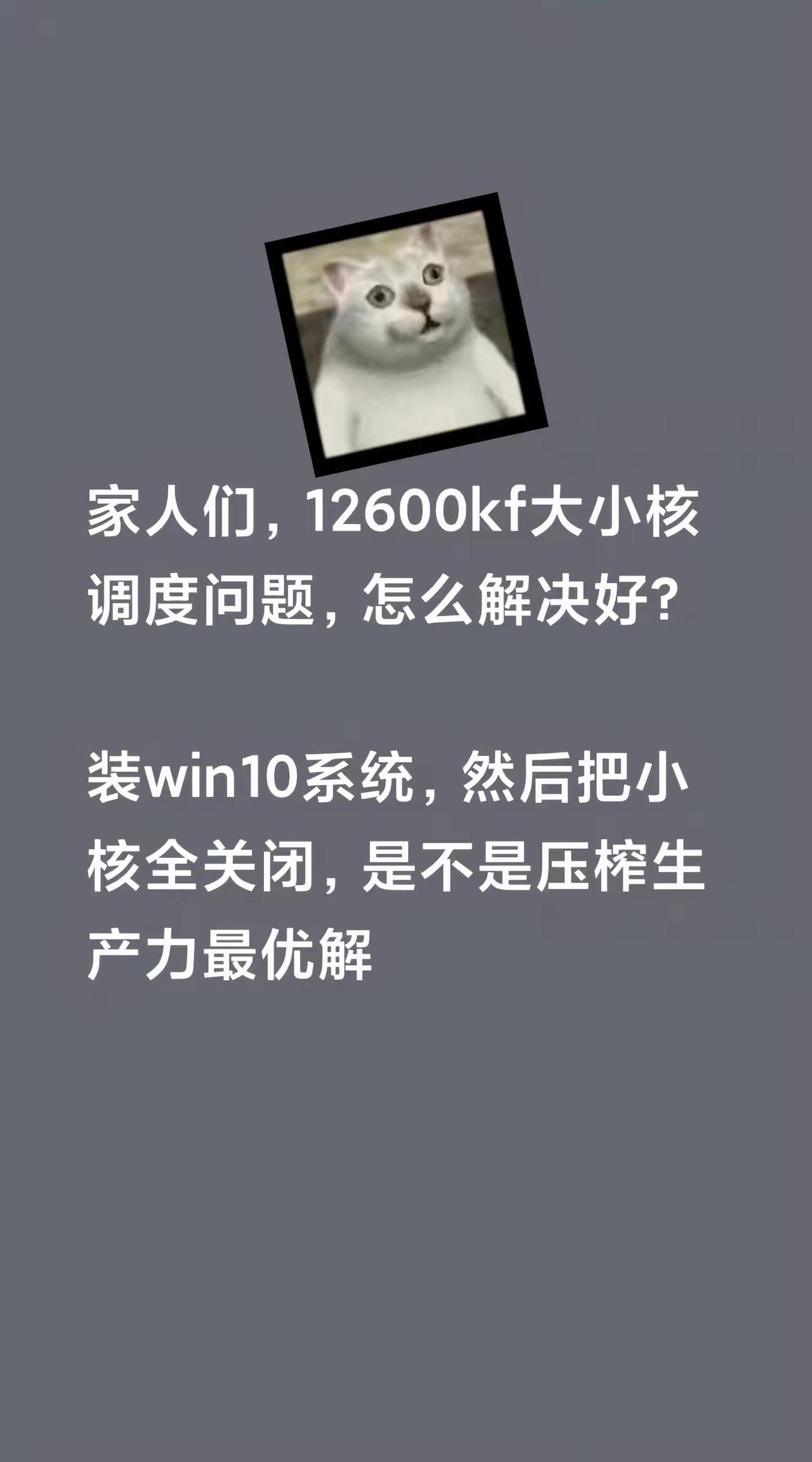家人们，12600kf大小核调度问题，怎么解决好?装win10系统，然后把小核全