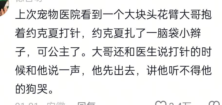 花臂大哥和他的公主小狗 