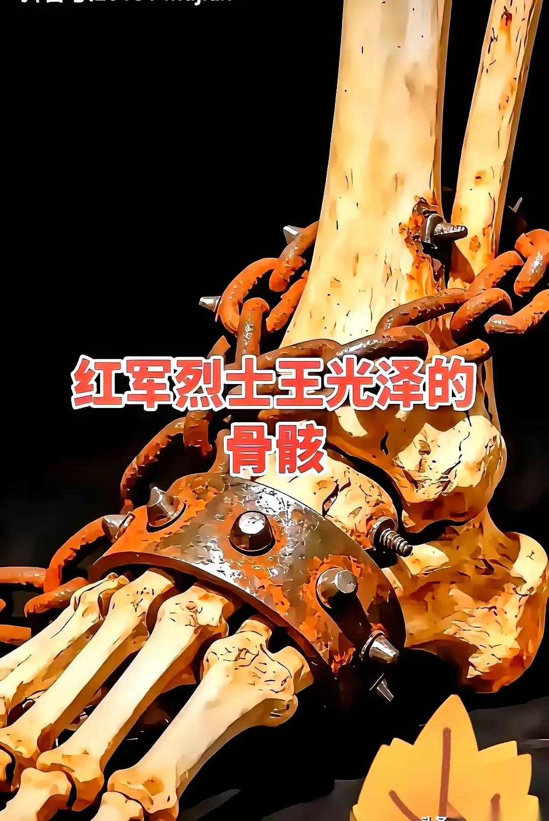 挖出来了！
考古队挖出红军师长骸骨直接惊呆！脚踝骨钉着四颗烧红铆钉还拴七公斤铁链