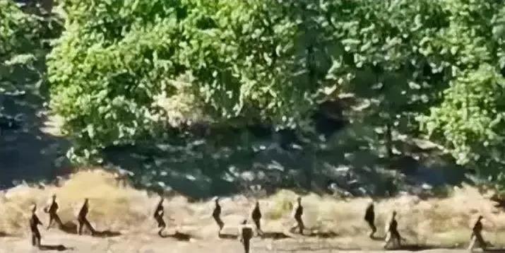 库尔斯克人民不反抗是对是错？
听说欧美联军攻入库尔斯克，人民不反抗，那库尔斯克人