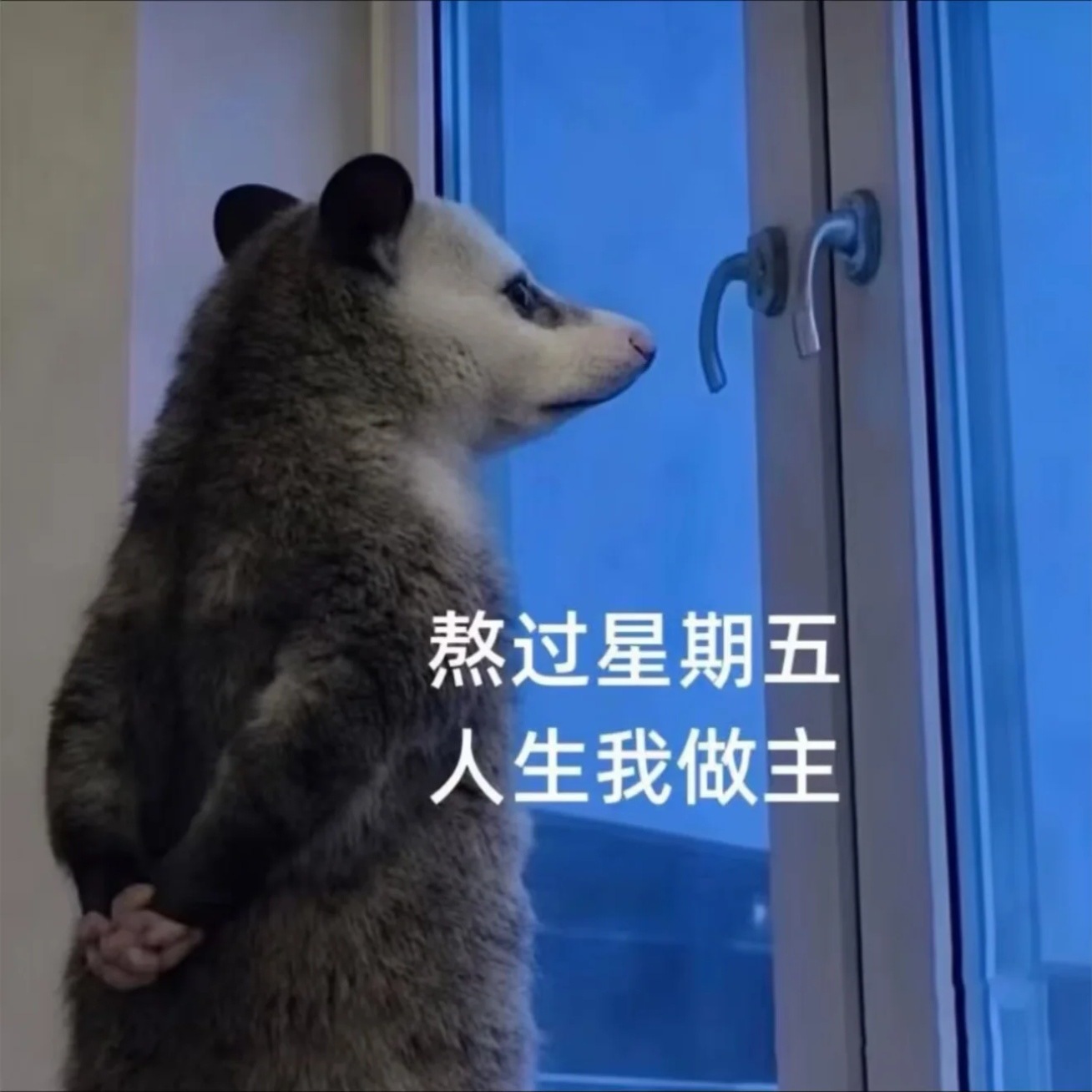 嘿嘿嘿嘿嘿嘿嘿嘿 