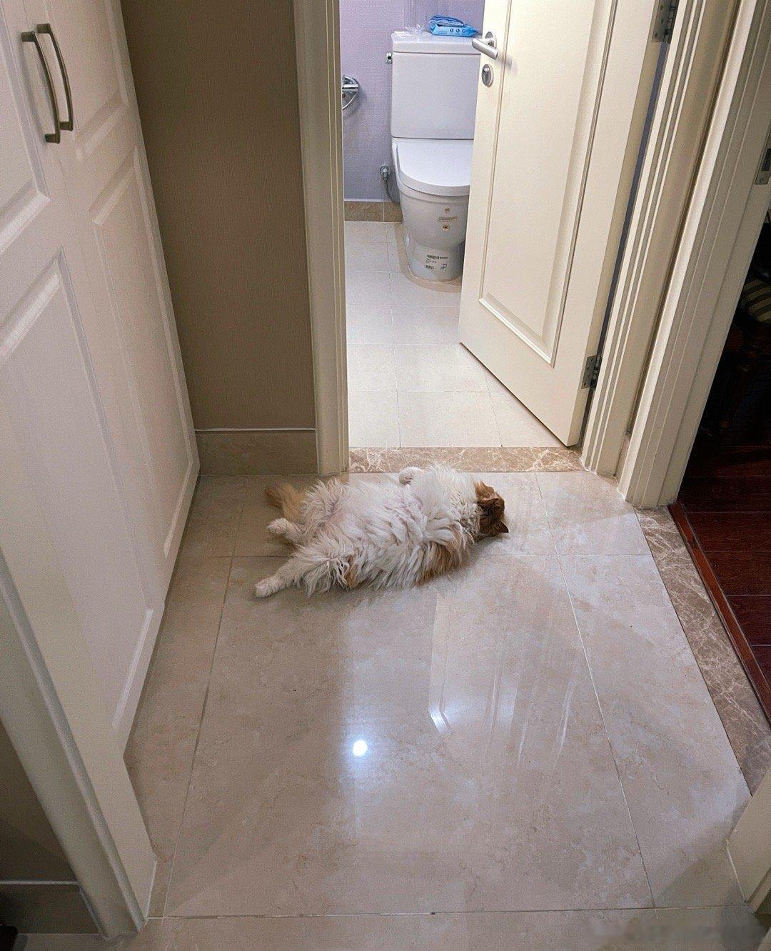 还有你，照顾着点哥哥……！ 