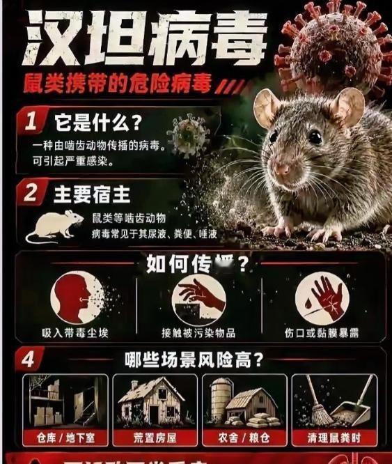 万万没想到! 03 年非典说中国传的，20 年新冠说中国发源的，26 年汉坦病毒