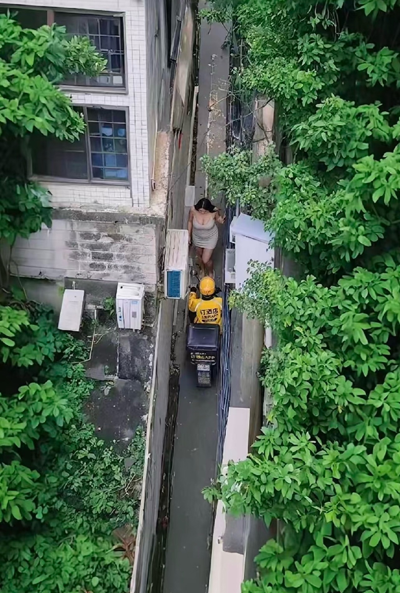 你会怎么做 