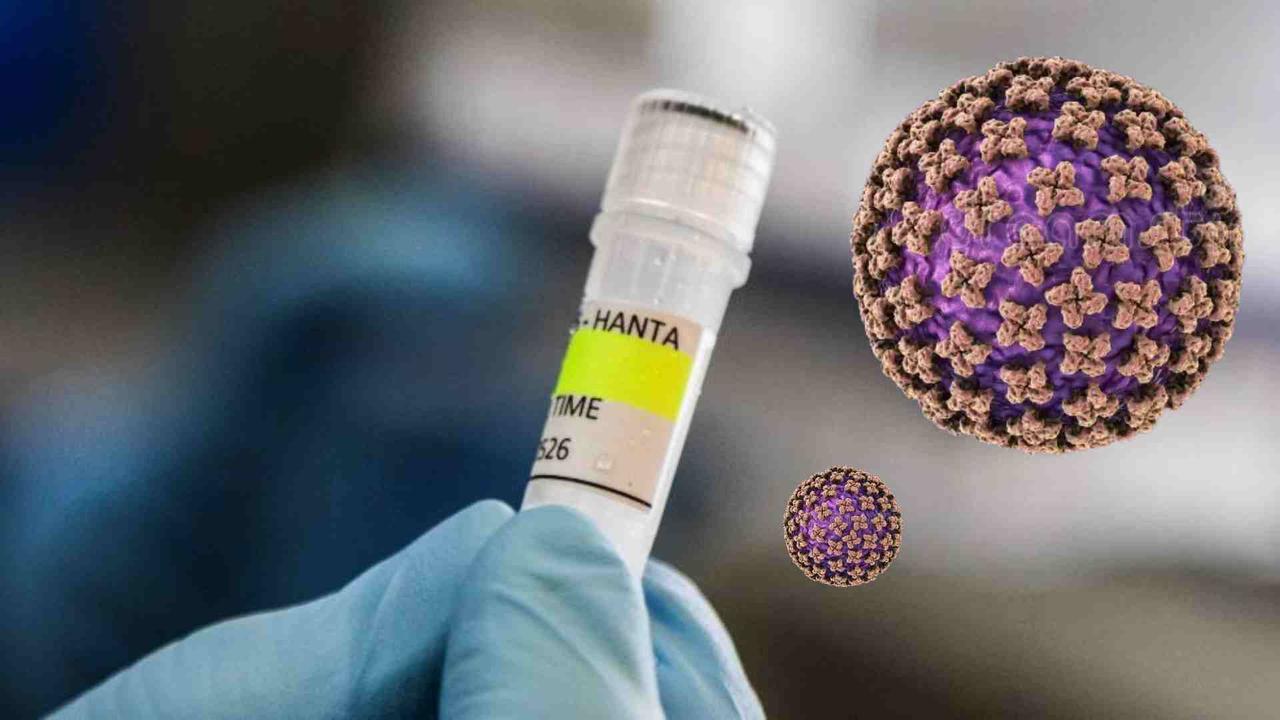 科学研究显示，部分汉坦病毒可在人类男性生殖道中长期潜伏

其基因组在精液中的存活