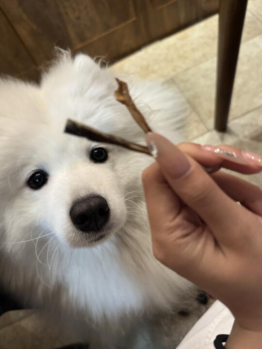 宝宝我馋