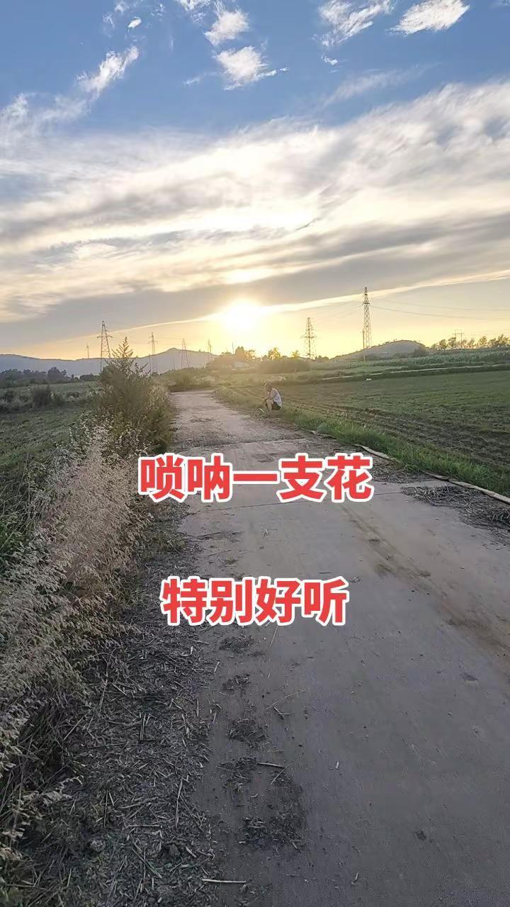 唢呐唢呐一支花唢呐一响燃爆全场