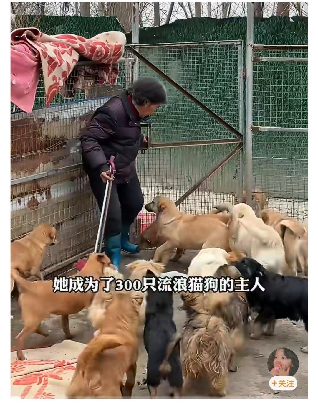 82岁老师写高考作文引关注 没有华丽辞藻，只有真心！82岁老师的高考作文刷屏，原