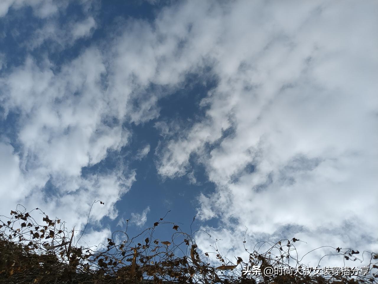 新疆的蓝天白云，那简直是大自然馈赠的绝美画卷。之前去新疆旅游，一下车就被那天空震