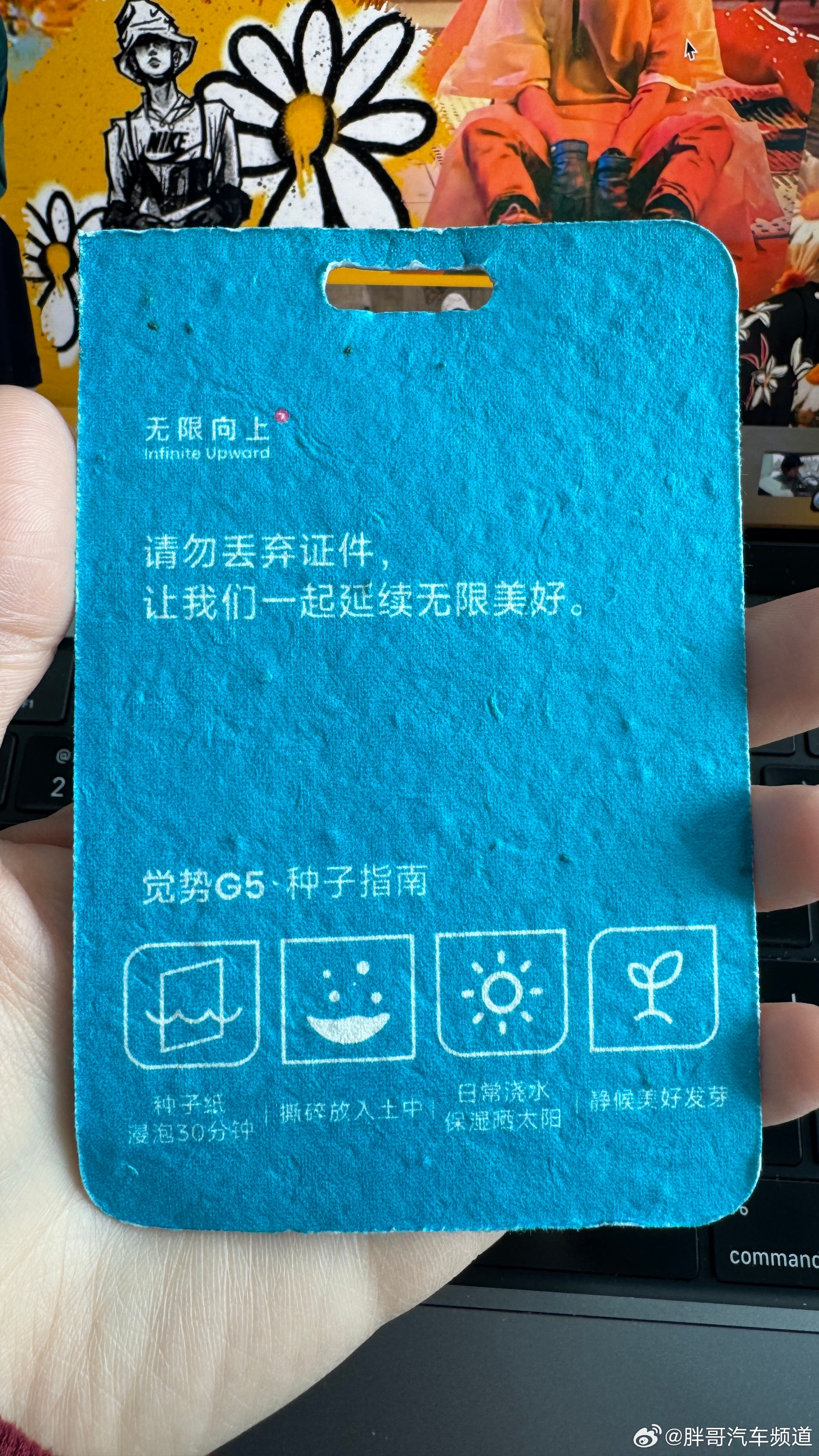 胖哥汽车频道 我种一个试试 大V聊车汽车文化