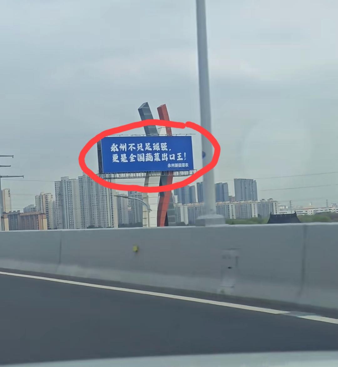 苏州高架旁边，永州新田菜农竖起这样的广告牌“永州不只足球强，更是全国蔬菜出口王”