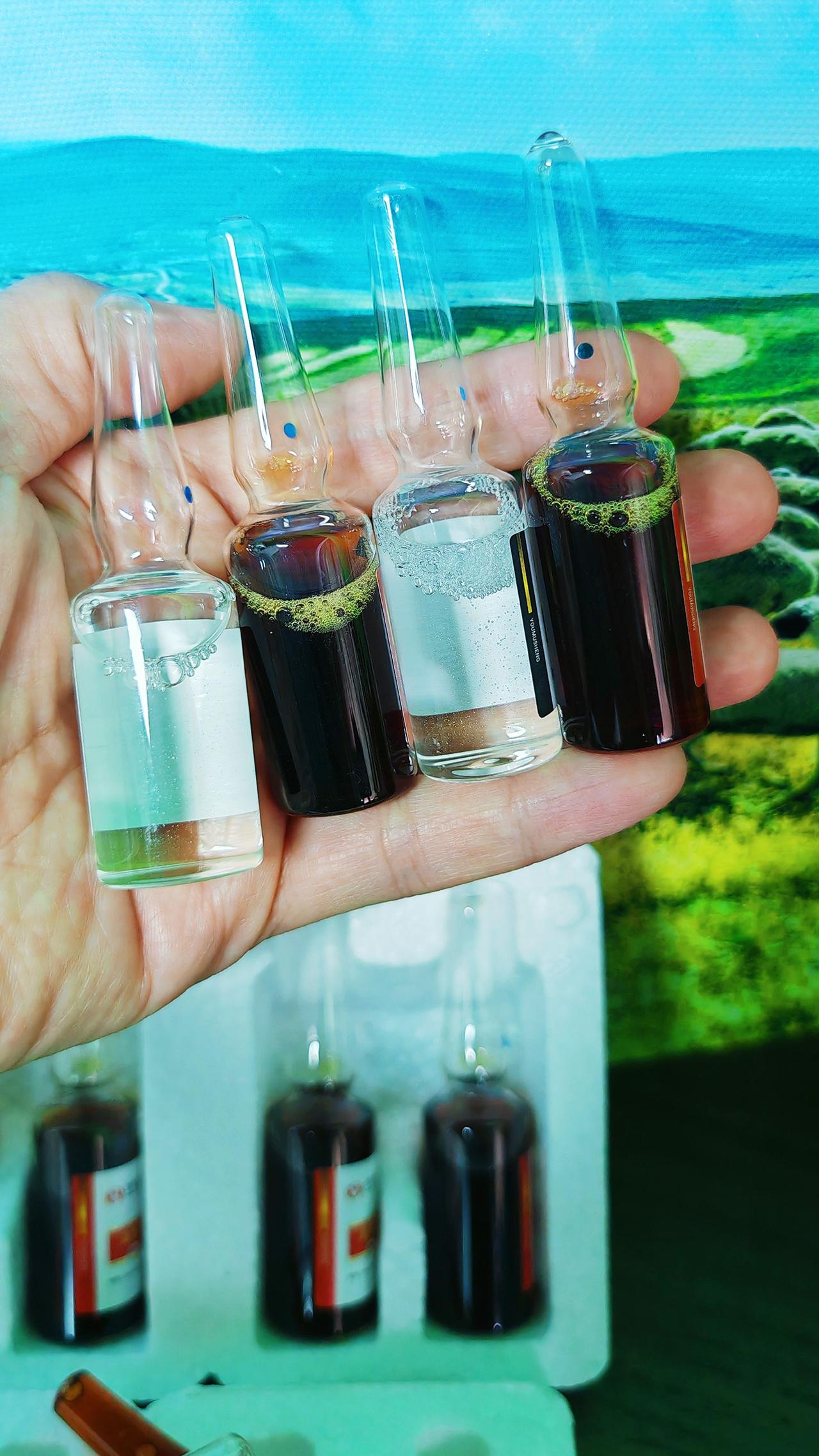 养羊牛羊养殖 农村养羊