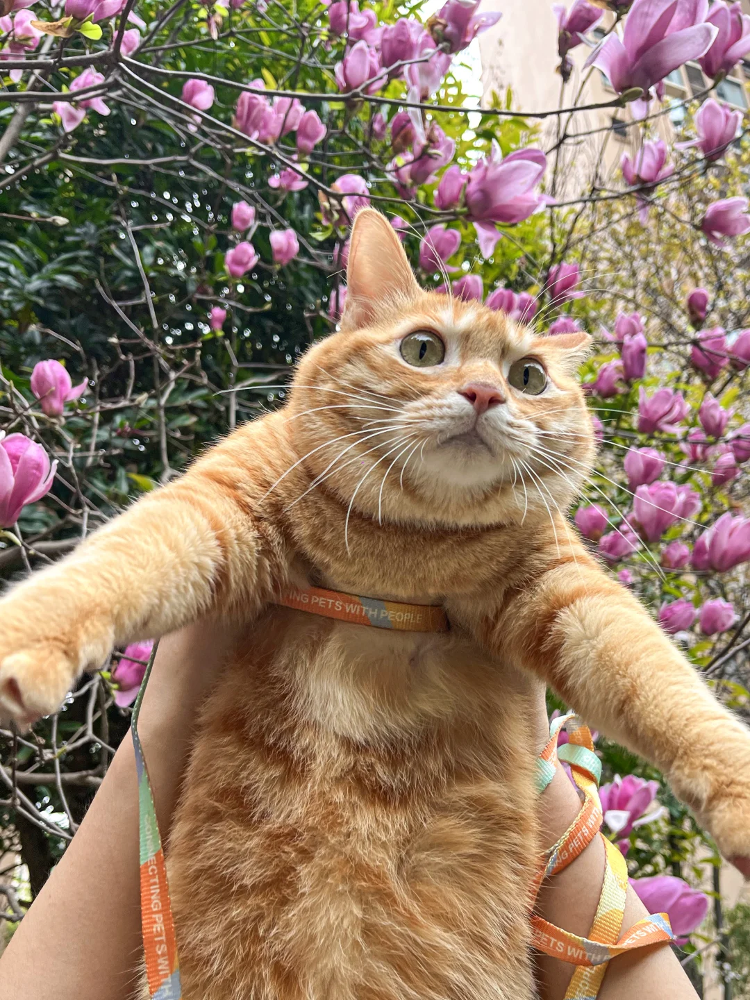 咪的春天是暖暖哒～