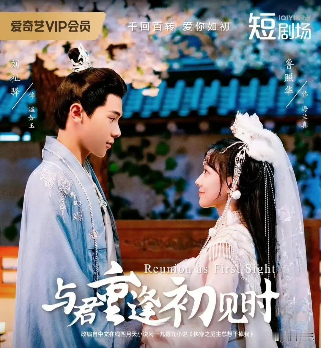 《与君重逢初见时》正式定档1月8日12点，在爱奇艺平台独家播出。该剧由鲁照华、刘