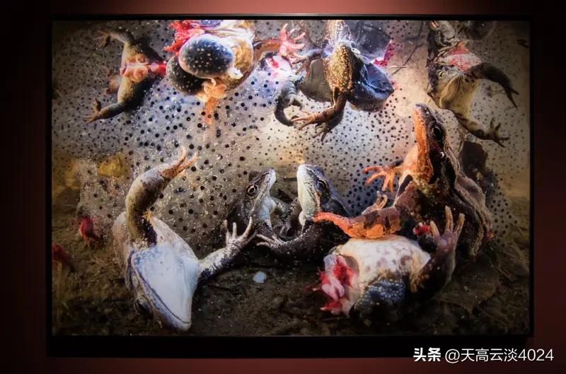 目前还真没有哪个国家的人民完全不吃盐。盐对人体至关重要，它能维持人体正常的渗透压