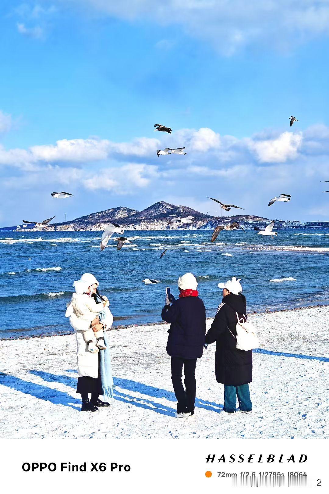 海鸥飞处彩云飞(手机版.之七)——冬日，烟台的海边，白浪滔滔，鸥影点点。在凛冽的
