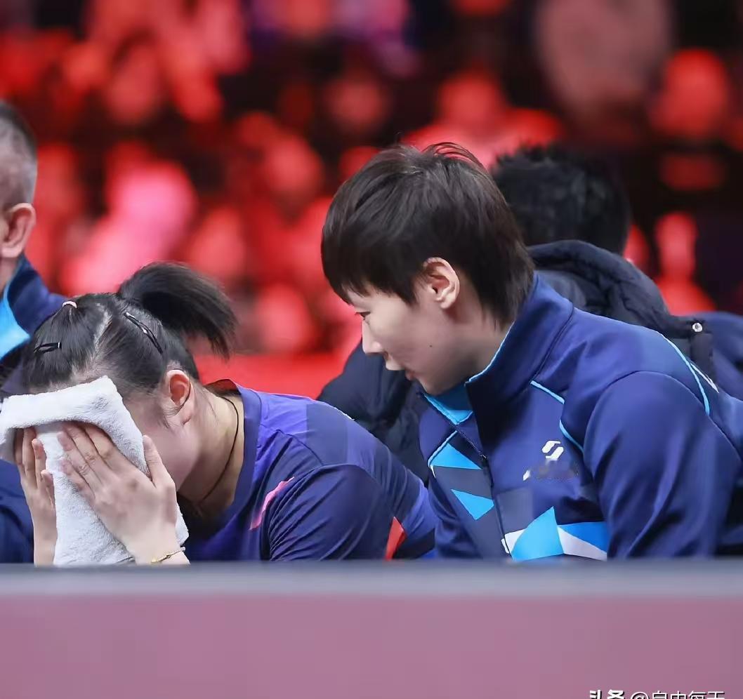 太原赛场，徐奕一记反手拧拉，韩国金娜英球拍脱手。
陪练的影子撕开闪光灯。
数据炸