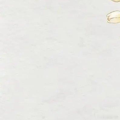 森林驿站 今天的好运又拍了拍你永远保持对生活热爱好运就在今天ʜєʟʟɵ好运从每一
