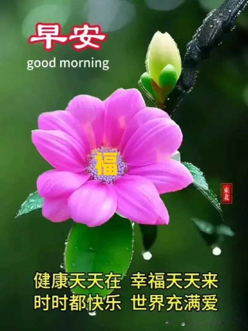 只有身体健康，
才能吃嘛嘛香；

只有心情舒畅，
好运才能跟上；

只有童心永驻