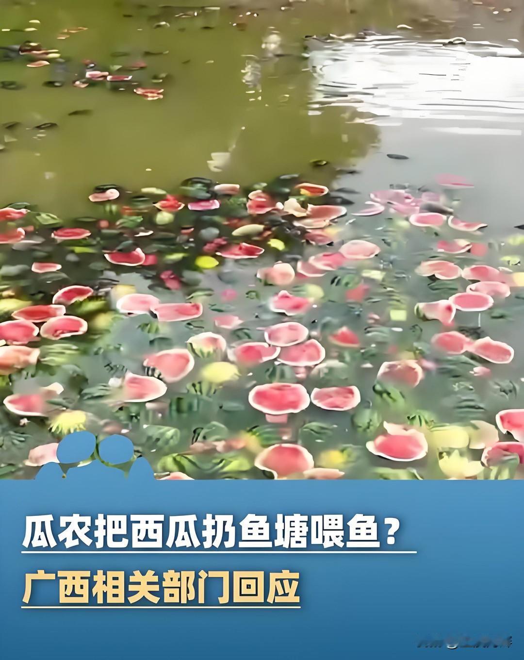 我一个朋友是广西扶绥县的，听他说当地的西瓜滞销，卖不起价格。有些西瓜烂在地里没人
