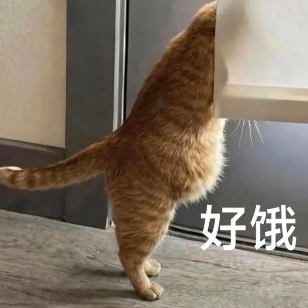 判断饿的最好方法有时候就是嘴馋，其实根本不饿肚子也是会骗人的大家是怎么判断自己该