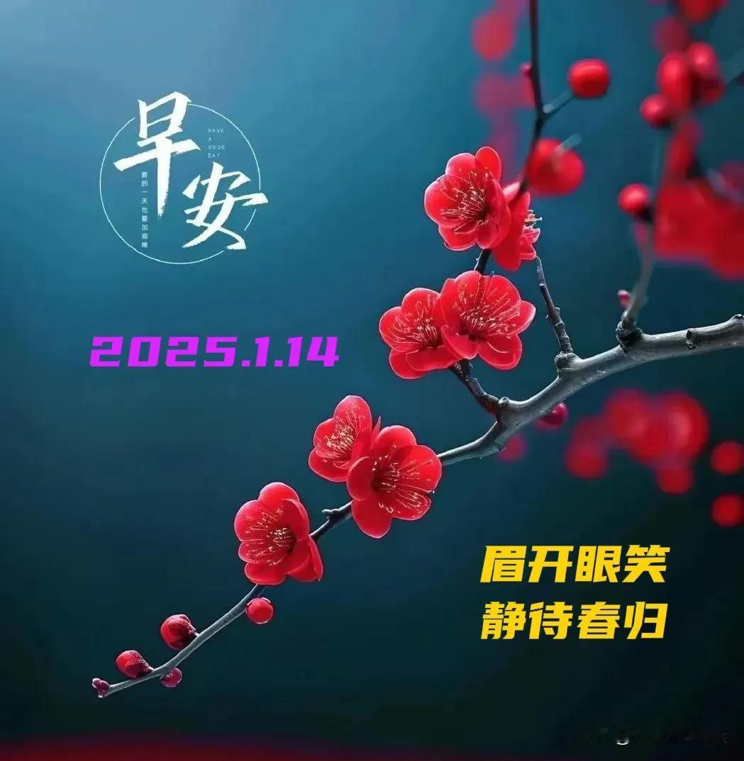 2025.1.14  农历甲辰年腊月十五，周二【🌹每日心语】
[玫瑰]在快节奏