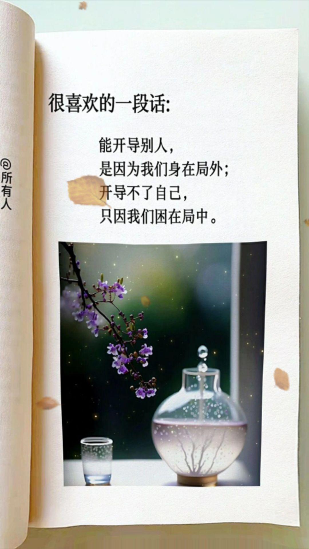 每日分享