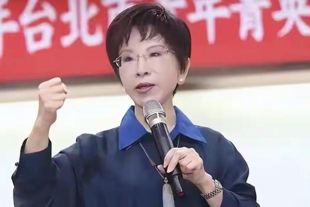沉默48小时，洪秀柱一锤定音！上千台胞奔赴厦门，岛内的“青鸟”捅了马蜂窝....
