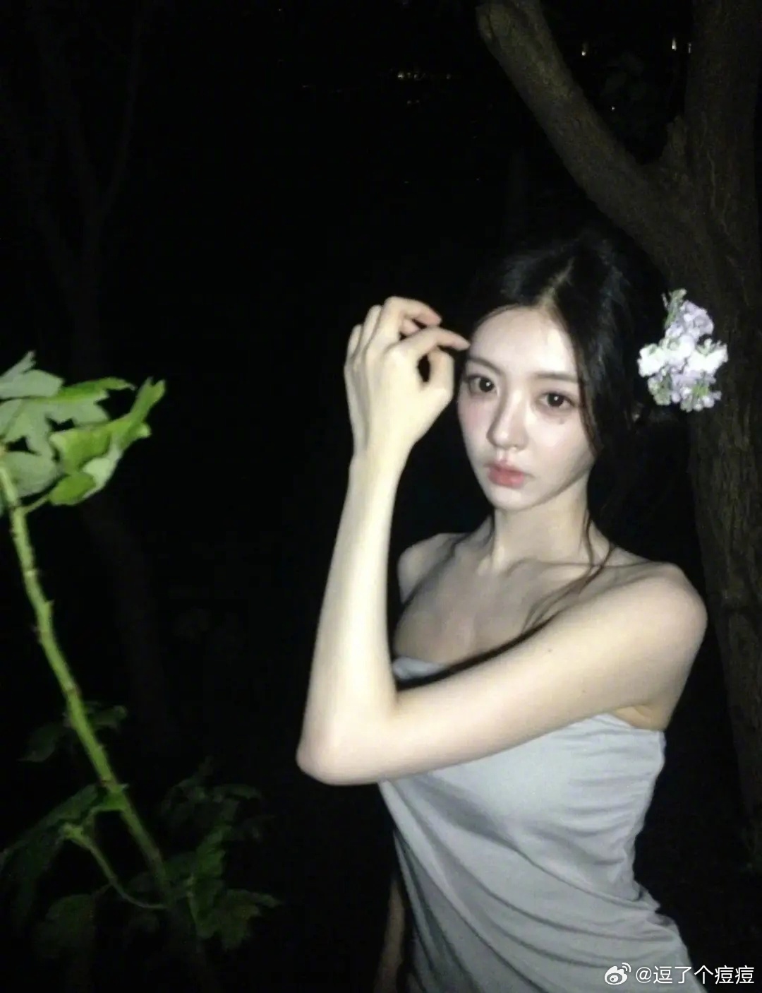 第五季｜柳鹅CCD美神来的半熟恋人半熟恋人