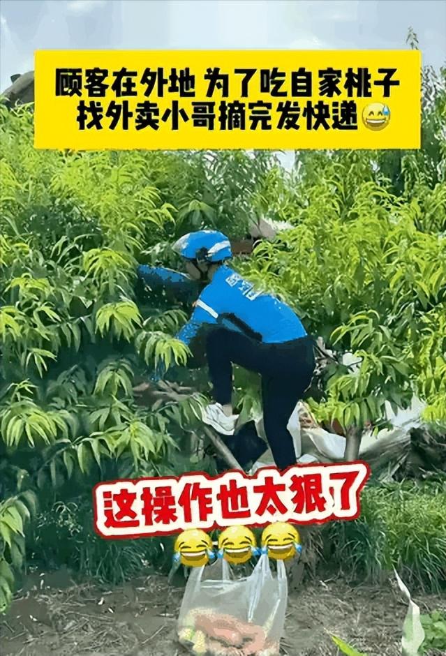 “太聪明了！”外地男子惦记老家熟透的桃子，自己却无法返乡，索性下单请外卖小哥上门