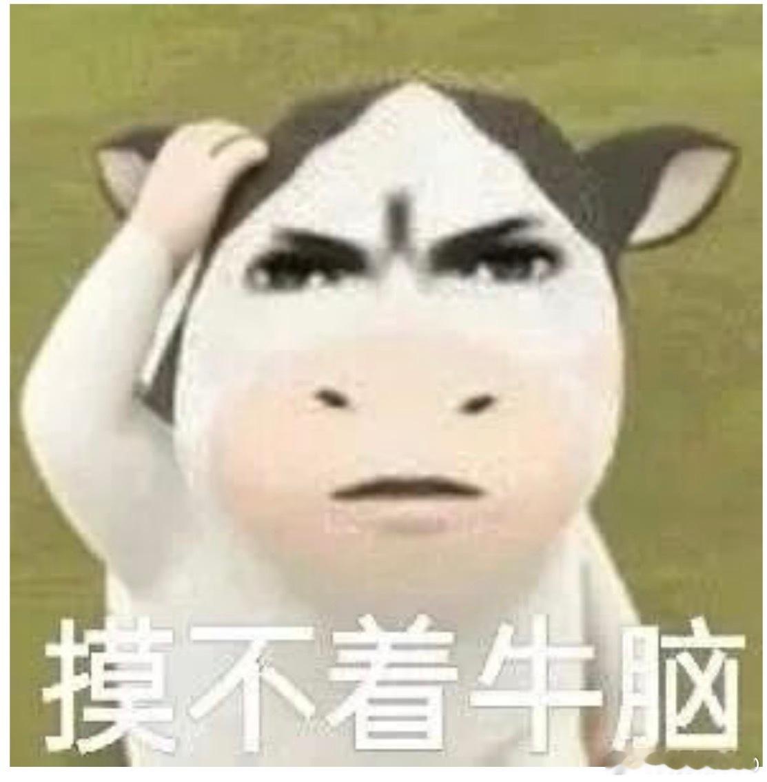 感觉自己年龄大了，可能默默关注是最适合自己的追星方式 