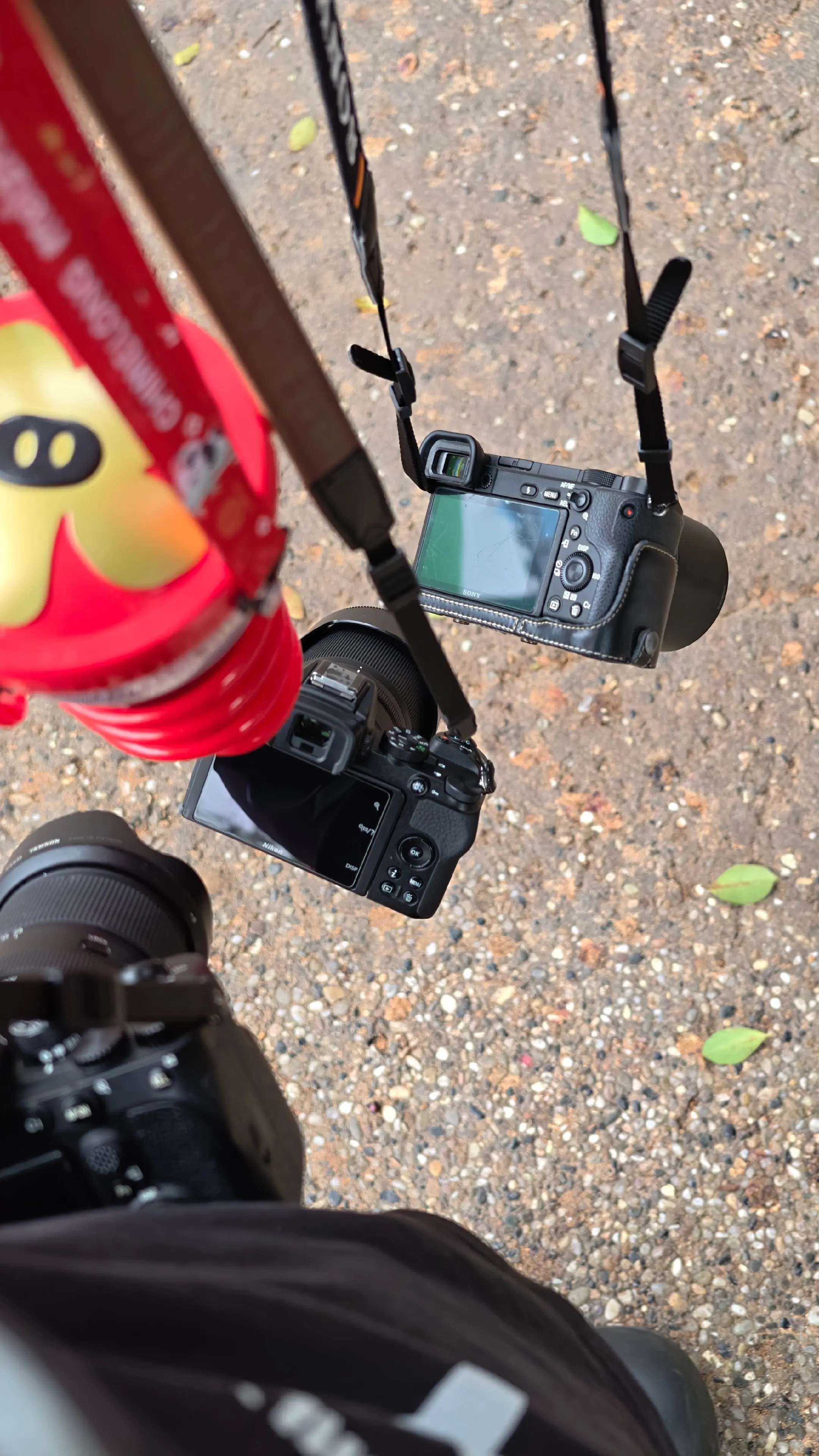 去长隆捡相机的一天，发达了。