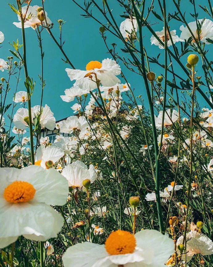 我们都是，时间的过客。人生，空手而来，必然，空手而归。 