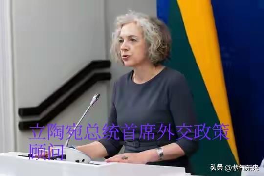 立陶宛真是有点不自量力

在国际社会刷存在感“蹭流量”的做法，让人啼笑皆非！
