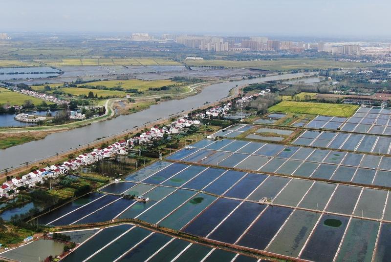 网络上铺天盖地的理财类广告，大多不靠谱。像“云养殖”，打着“认养即赚钱”“低门槛