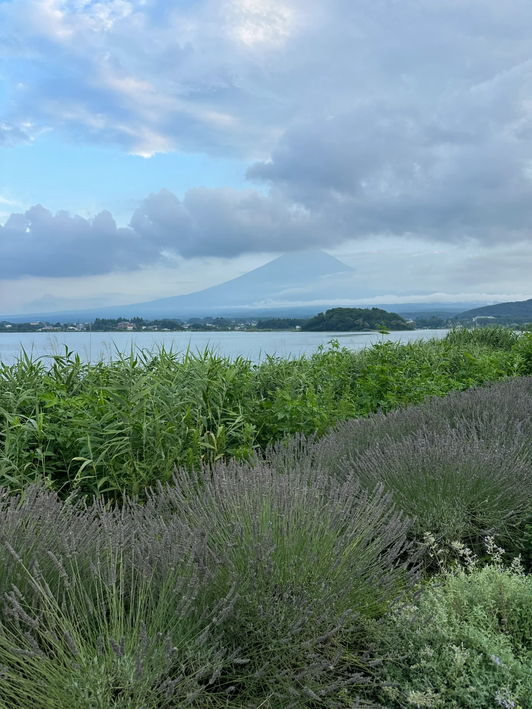 河口湖｜找到了富士山最佳观赏点‼️还免费🗻
