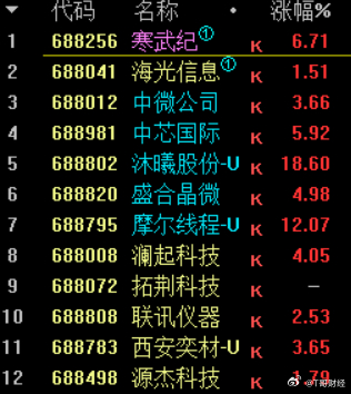科创板市值前12名都大红，这是资金冲进来拿市值，等着打新长鑫吧 