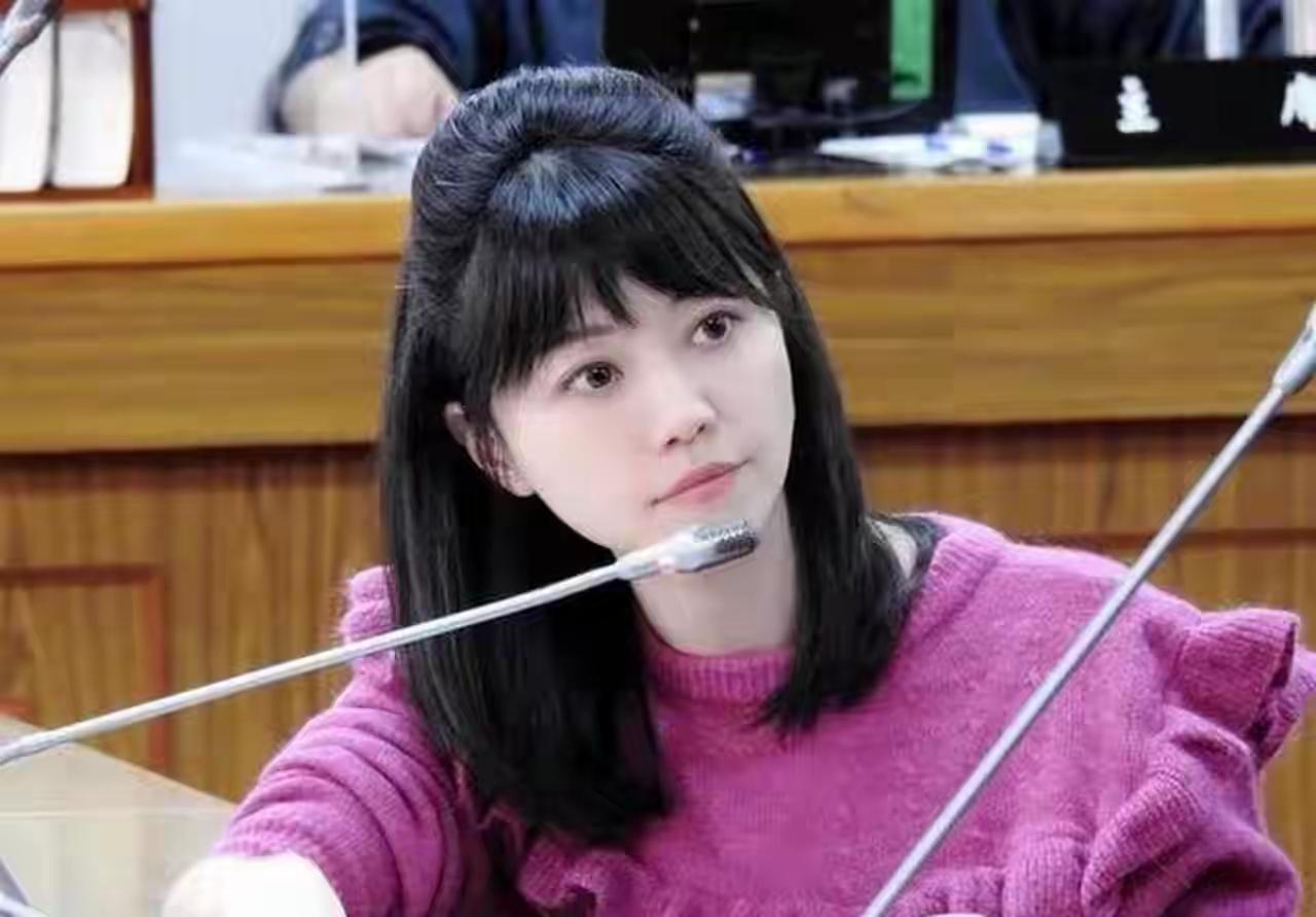 民进党有台独之心的几个美女，光长相漂亮不干正事，最后还不如一个普通人活得有意思？