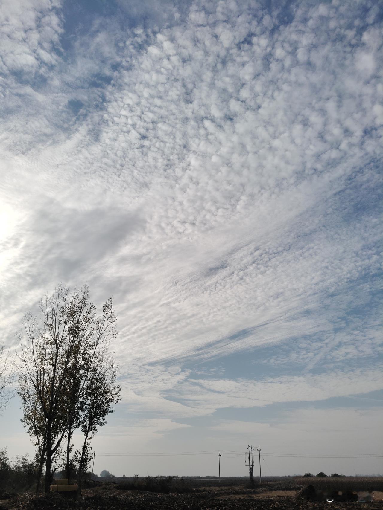 各位小伙伴们，我要给你们安利一波大自然的神奇！我通过镜头捕捉到了大自然的无尽魅力