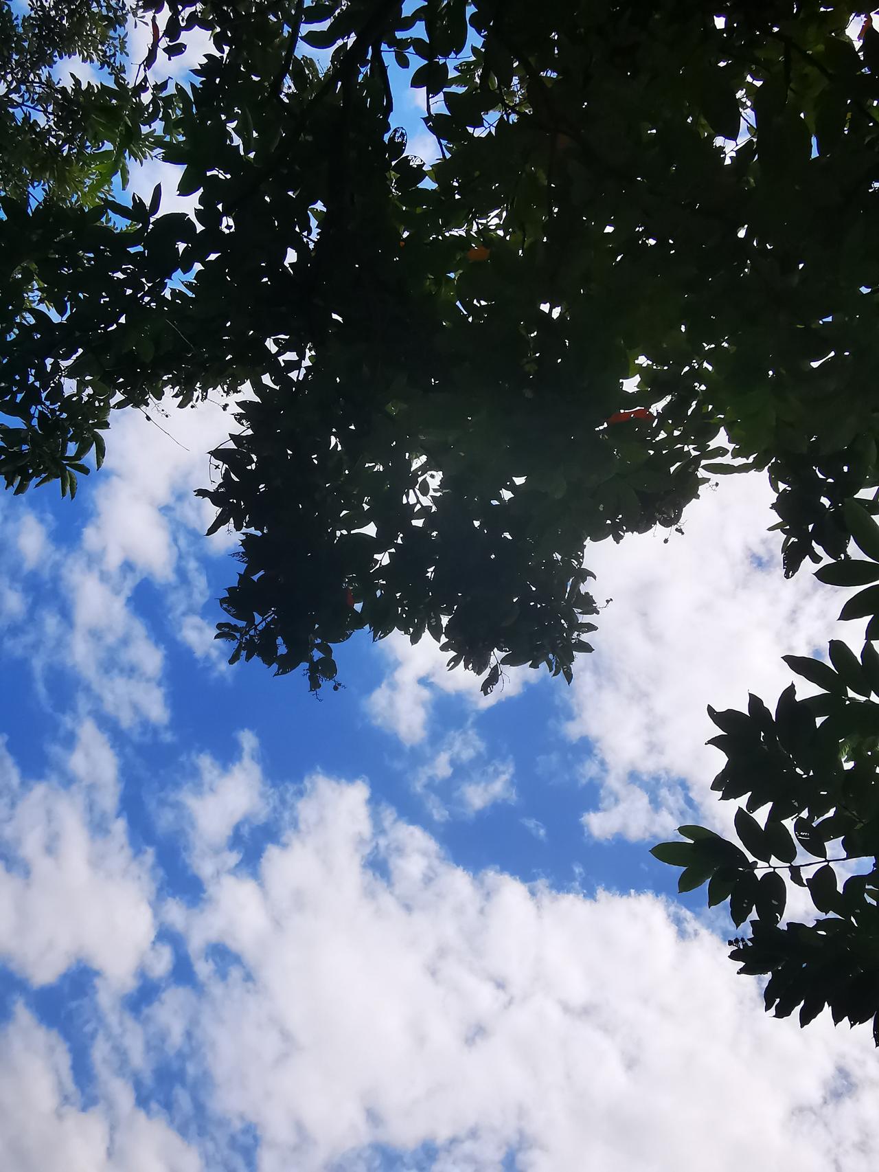 晒图笔记大赛