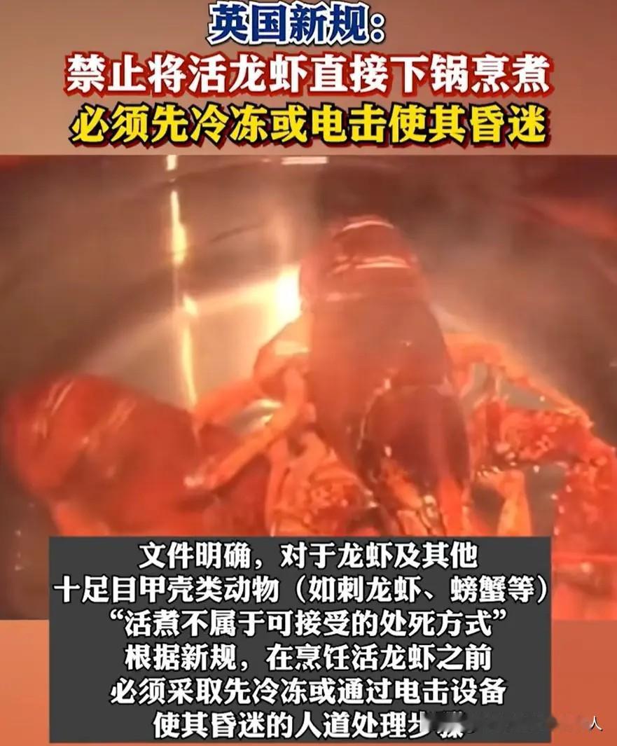 真是奇葩的事情，既要血淋淋的吃肉，又要假惺惺的讲人道。

英国出台了一项政策：禁