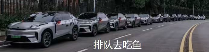 领克08车友团帮忙接亲结果只吃酸菜鱼的瓜大家吃了吗