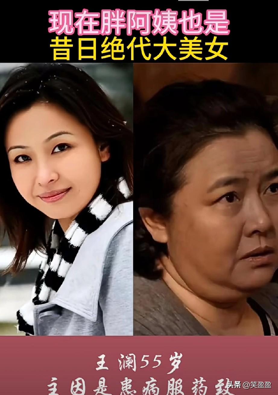 现在胖阿姨
昔日也是风华绝代的大美人
最是人间留不住，
红颜辞镜花辞树。