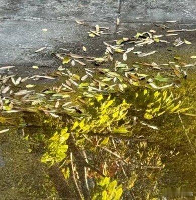 每日一善阳光信用 每日一善 人生，该笑的时候，不如放声大笑。抱怨身处黑暗，不如提